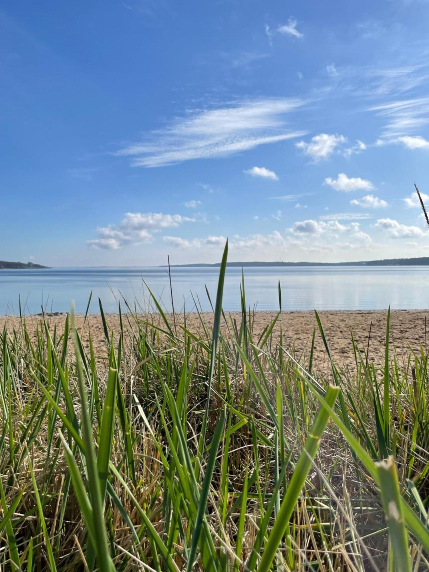 Strandliebe - Beach Apartment Mit Meerblick Harrislee Ngoại thất bức ảnh